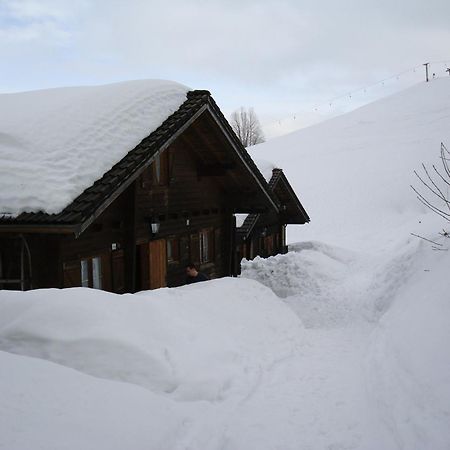 Ferienwohnungen Im Blockhaus Metzler Schwarzenberg im Bregenzerwald Εξωτερικό φωτογραφία