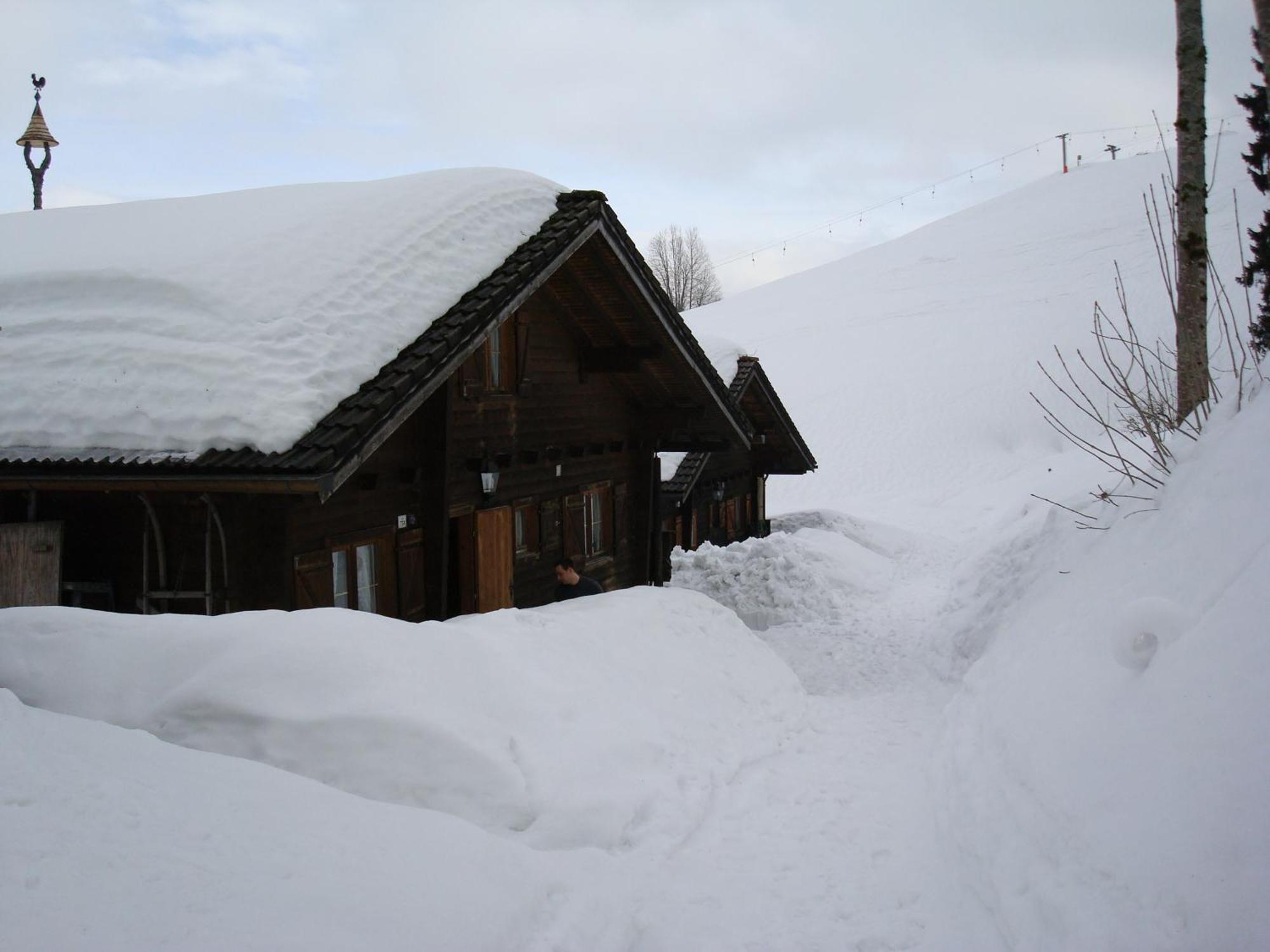 Ferienwohnungen Im Blockhaus Metzler Schwarzenberg im Bregenzerwald Εξωτερικό φωτογραφία