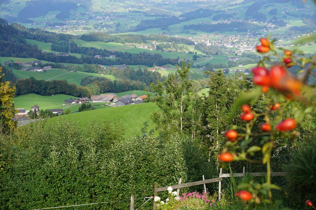 Ferienwohnungen Im Blockhaus Metzler Schwarzenberg im Bregenzerwald Εξωτερικό φωτογραφία