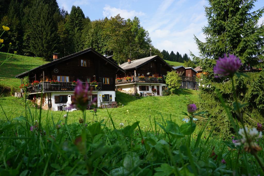 Ferienwohnungen Im Blockhaus Metzler Schwarzenberg im Bregenzerwald Εξωτερικό φωτογραφία